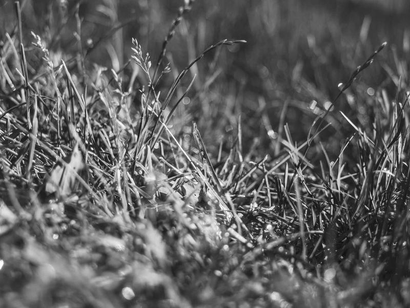 contact screenshot 3